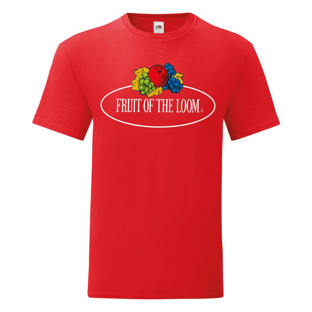 Fruit of the Loom Vintage Collection Vintage T Large Logo Print